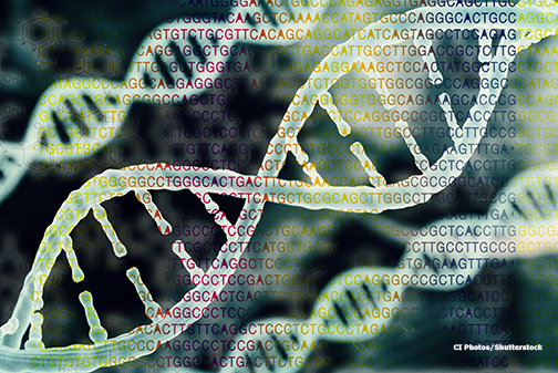 dna and proteins